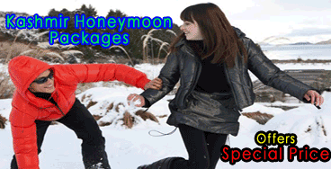 kashmir honeymoon package