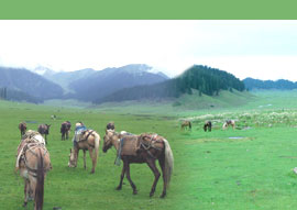 Incredible kashmir