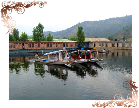 kashmir