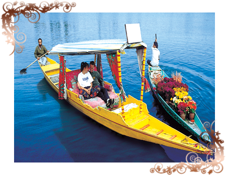 kashmir