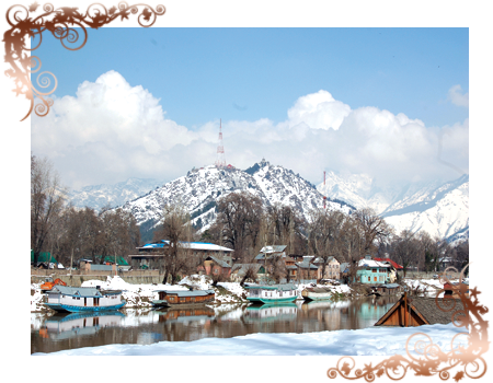 kashmir